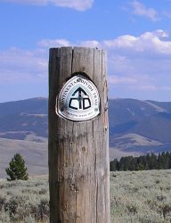 A Quick and Dirty CDT Guide