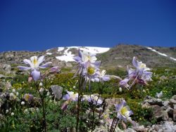 Backpacking Loops – Mags Favorites