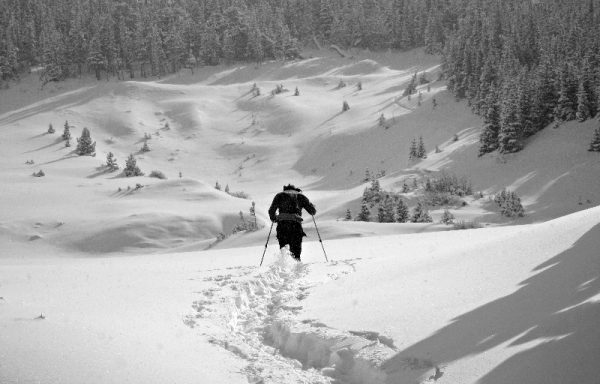 Fleece Jacket, 200 wt.