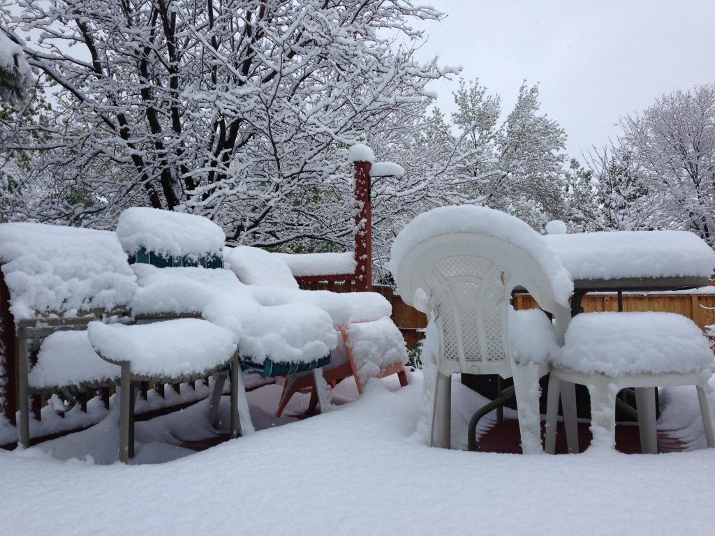 from the Washington Post