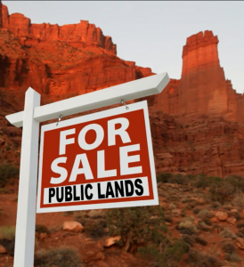 PublicLandsforSale-e1417464077249