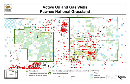 wild-earth-guardians