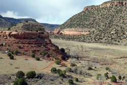 New Mexico  – Kiowa Grasslands
