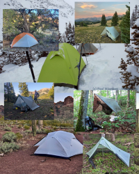 The Quiver – Top Shelters of all time!