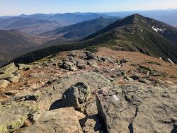 WANE – Part 2 – Return to the Whites