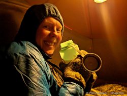 To quote Joan "We sure know how to make 42 inches of space work for us for the 14 hours of darkness!"