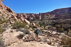 December backpacking on the plateau, oh deer!