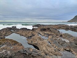 Thanksgiving by the Oregon Coast