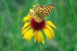 Some small, good things.