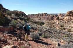 Presidents Day Weekend 2026