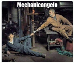 From Chameleon Memes