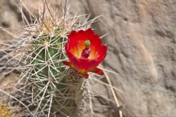 Two days meandering near Moab